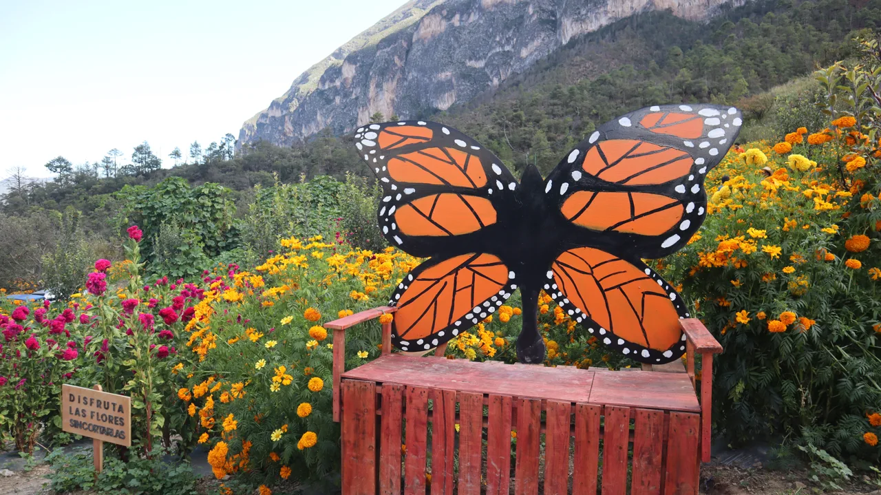 Spot de mariposa entre flores
